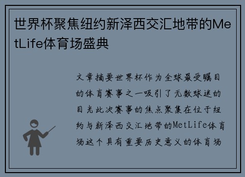 世界杯聚焦纽约新泽西交汇地带的MetLife体育场盛典 世界杯聚焦纽约新泽西交汇地带的MetLife体育场盛典